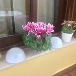 Dei Cavalieri
