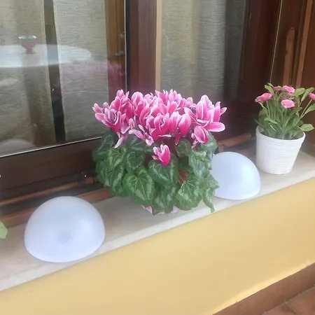Dei Cavalieri