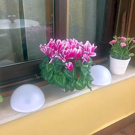 Bed & Breakfast Dei Cavalieri