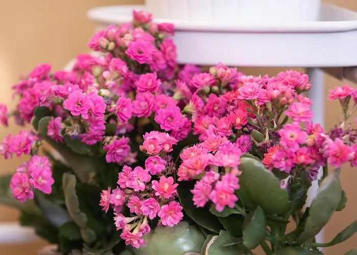 Dei Cavalieri Alojamento de Acomodação e Pequeno-almoço